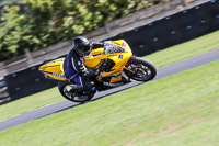 Advanced Group Yellow Bikes