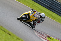 Advanced Group Yellow Bikes
