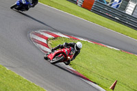 enduro-digital-images;event-digital-images;eventdigitalimages;no-limits-trackdays;peter-wileman-photography;racing-digital-images;snetterton;snetterton-no-limits-trackday;snetterton-photographs;snetterton-trackday-photographs;trackday-digital-images;trackday-photos