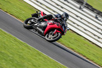 Lower Group Red Bikes