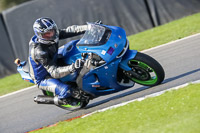 Middle Group Blue Bikes