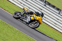 Middle Group Yellow Bikes