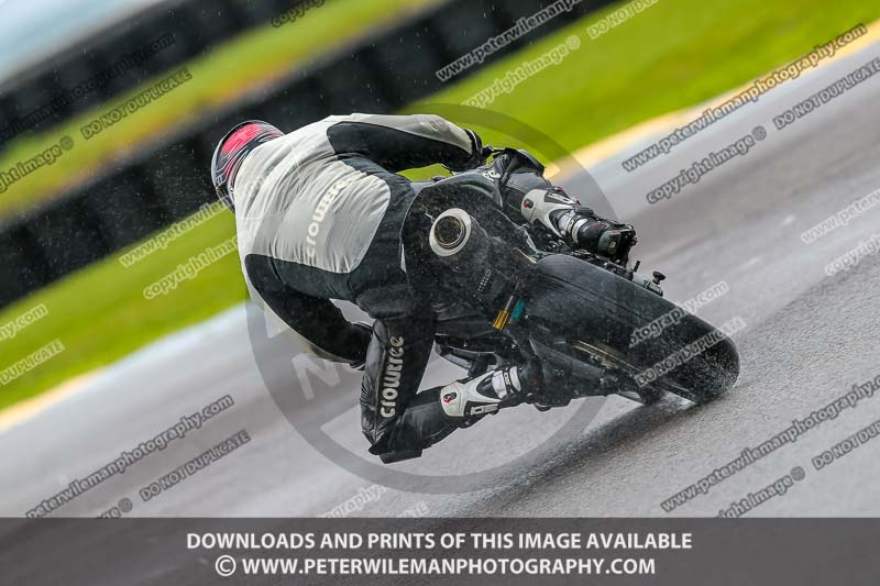 PJ Motorsport Photography 2018;anglesey no limits trackday;anglesey photographs;anglesey trackday photographs;enduro digital images;event digital images;eventdigitalimages;no limits trackdays;peter wileman photography;racing digital images;trac mon;trackday digital images;trackday photos;ty croes