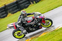 PJ-Motorsport-Photography-2018;anglesey-no-limits-trackday;anglesey-photographs;anglesey-trackday-photographs;enduro-digital-images;event-digital-images;eventdigitalimages;no-limits-trackdays;peter-wileman-photography;racing-digital-images;trac-mon;trackday-digital-images;trackday-photos;ty-croes