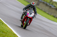 PJ-Motorsport-Photography-2018;anglesey-no-limits-trackday;anglesey-photographs;anglesey-trackday-photographs;enduro-digital-images;event-digital-images;eventdigitalimages;no-limits-trackdays;peter-wileman-photography;racing-digital-images;trac-mon;trackday-digital-images;trackday-photos;ty-croes