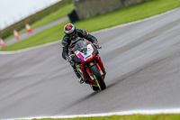 PJ-Motorsport-Photography-2018;anglesey-no-limits-trackday;anglesey-photographs;anglesey-trackday-photographs;enduro-digital-images;event-digital-images;eventdigitalimages;no-limits-trackdays;peter-wileman-photography;racing-digital-images;trac-mon;trackday-digital-images;trackday-photos;ty-croes
