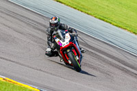 PJ-Motorsport-Photography-2018;anglesey-no-limits-trackday;anglesey-photographs;anglesey-trackday-photographs;enduro-digital-images;event-digital-images;eventdigitalimages;no-limits-trackdays;peter-wileman-photography;racing-digital-images;trac-mon;trackday-digital-images;trackday-photos;ty-croes