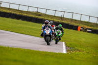 PJ-Motorsport-Photography-2018;anglesey-no-limits-trackday;anglesey-photographs;anglesey-trackday-photographs;enduro-digital-images;event-digital-images;eventdigitalimages;no-limits-trackdays;peter-wileman-photography;racing-digital-images;trac-mon;trackday-digital-images;trackday-photos;ty-croes