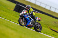 PJ-Motorsport-Photography-2018;anglesey-no-limits-trackday;anglesey-photographs;anglesey-trackday-photographs;enduro-digital-images;event-digital-images;eventdigitalimages;no-limits-trackdays;peter-wileman-photography;racing-digital-images;trac-mon;trackday-digital-images;trackday-photos;ty-croes