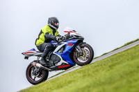 PJ-Motorsport-Photography-2018;anglesey-no-limits-trackday;anglesey-photographs;anglesey-trackday-photographs;enduro-digital-images;event-digital-images;eventdigitalimages;no-limits-trackdays;peter-wileman-photography;racing-digital-images;trac-mon;trackday-digital-images;trackday-photos;ty-croes