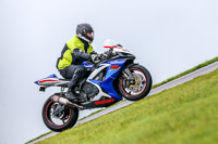 PJ-Motorsport-Photography-2018;anglesey-no-limits-trackday;anglesey-photographs;anglesey-trackday-photographs;enduro-digital-images;event-digital-images;eventdigitalimages;no-limits-trackdays;peter-wileman-photography;racing-digital-images;trac-mon;trackday-digital-images;trackday-photos;ty-croes
