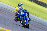 PJ-Motorsport-Photography-2018;anglesey-no-limits-trackday;anglesey-photographs;anglesey-trackday-photographs;enduro-digital-images;event-digital-images;eventdigitalimages;no-limits-trackdays;peter-wileman-photography;racing-digital-images;trac-mon;trackday-digital-images;trackday-photos;ty-croes