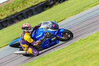 PJ-Motorsport-Photography-2018;anglesey-no-limits-trackday;anglesey-photographs;anglesey-trackday-photographs;enduro-digital-images;event-digital-images;eventdigitalimages;no-limits-trackdays;peter-wileman-photography;racing-digital-images;trac-mon;trackday-digital-images;trackday-photos;ty-croes