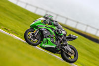 PJ-Motorsport-Photography-2018;anglesey-no-limits-trackday;anglesey-photographs;anglesey-trackday-photographs;enduro-digital-images;event-digital-images;eventdigitalimages;no-limits-trackdays;peter-wileman-photography;racing-digital-images;trac-mon;trackday-digital-images;trackday-photos;ty-croes