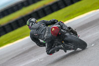 PJ-Motorsport-Photography-2018;anglesey-no-limits-trackday;anglesey-photographs;anglesey-trackday-photographs;enduro-digital-images;event-digital-images;eventdigitalimages;no-limits-trackdays;peter-wileman-photography;racing-digital-images;trac-mon;trackday-digital-images;trackday-photos;ty-croes
