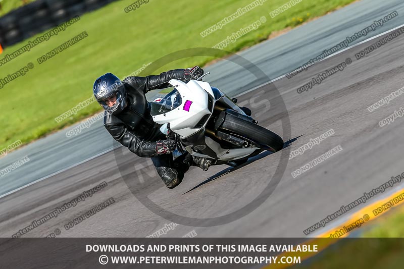 PJ Motorsport Photography 2018;anglesey no limits trackday;anglesey photographs;anglesey trackday photographs;enduro digital images;event digital images;eventdigitalimages;no limits trackdays;peter wileman photography;racing digital images;trac mon;trackday digital images;trackday photos;ty croes