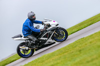 PJ-Motorsport-Photography-2018;anglesey-no-limits-trackday;anglesey-photographs;anglesey-trackday-photographs;enduro-digital-images;event-digital-images;eventdigitalimages;no-limits-trackdays;peter-wileman-photography;racing-digital-images;trac-mon;trackday-digital-images;trackday-photos;ty-croes