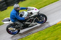 PJ-Motorsport-Photography-2018;anglesey-no-limits-trackday;anglesey-photographs;anglesey-trackday-photographs;enduro-digital-images;event-digital-images;eventdigitalimages;no-limits-trackdays;peter-wileman-photography;racing-digital-images;trac-mon;trackday-digital-images;trackday-photos;ty-croes