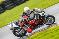 PJ-Motorsport-Photography-2018;anglesey-no-limits-trackday;anglesey-photographs;anglesey-trackday-photographs;enduro-digital-images;event-digital-images;eventdigitalimages;no-limits-trackdays;peter-wileman-photography;racing-digital-images;trac-mon;trackday-digital-images;trackday-photos;ty-croes