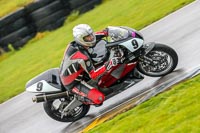 PJ-Motorsport-Photography-2018;anglesey-no-limits-trackday;anglesey-photographs;anglesey-trackday-photographs;enduro-digital-images;event-digital-images;eventdigitalimages;no-limits-trackdays;peter-wileman-photography;racing-digital-images;trac-mon;trackday-digital-images;trackday-photos;ty-croes