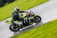PJ-Motorsport-Photography-2018;anglesey-no-limits-trackday;anglesey-photographs;anglesey-trackday-photographs;enduro-digital-images;event-digital-images;eventdigitalimages;no-limits-trackdays;peter-wileman-photography;racing-digital-images;trac-mon;trackday-digital-images;trackday-photos;ty-croes
