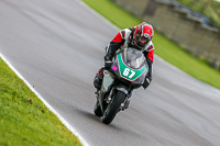 PJ-Motorsport-Photography-2018;anglesey-no-limits-trackday;anglesey-photographs;anglesey-trackday-photographs;enduro-digital-images;event-digital-images;eventdigitalimages;no-limits-trackdays;peter-wileman-photography;racing-digital-images;trac-mon;trackday-digital-images;trackday-photos;ty-croes