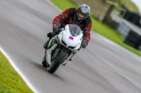 PJ-Motorsport-Photography-2018;anglesey-no-limits-trackday;anglesey-photographs;anglesey-trackday-photographs;enduro-digital-images;event-digital-images;eventdigitalimages;no-limits-trackdays;peter-wileman-photography;racing-digital-images;trac-mon;trackday-digital-images;trackday-photos;ty-croes