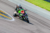 PJ-Motorsport-Photography-2018;anglesey-no-limits-trackday;anglesey-photographs;anglesey-trackday-photographs;enduro-digital-images;event-digital-images;eventdigitalimages;no-limits-trackdays;peter-wileman-photography;racing-digital-images;trac-mon;trackday-digital-images;trackday-photos;ty-croes