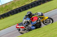 PJ-Motorsport-Photography-2018;anglesey-no-limits-trackday;anglesey-photographs;anglesey-trackday-photographs;enduro-digital-images;event-digital-images;eventdigitalimages;no-limits-trackdays;peter-wileman-photography;racing-digital-images;trac-mon;trackday-digital-images;trackday-photos;ty-croes