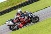 PJ-Motorsport-Photography-2018;anglesey-no-limits-trackday;anglesey-photographs;anglesey-trackday-photographs;enduro-digital-images;event-digital-images;eventdigitalimages;no-limits-trackdays;peter-wileman-photography;racing-digital-images;trac-mon;trackday-digital-images;trackday-photos;ty-croes