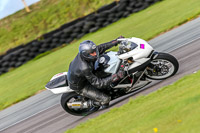 PJ-Motorsport-Photography-2018;anglesey-no-limits-trackday;anglesey-photographs;anglesey-trackday-photographs;enduro-digital-images;event-digital-images;eventdigitalimages;no-limits-trackdays;peter-wileman-photography;racing-digital-images;trac-mon;trackday-digital-images;trackday-photos;ty-croes