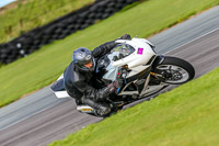 PJ-Motorsport-Photography-2018;anglesey-no-limits-trackday;anglesey-photographs;anglesey-trackday-photographs;enduro-digital-images;event-digital-images;eventdigitalimages;no-limits-trackdays;peter-wileman-photography;racing-digital-images;trac-mon;trackday-digital-images;trackday-photos;ty-croes