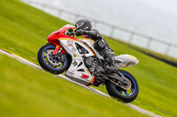 PJ-Motorsport-Photography-2018;anglesey-no-limits-trackday;anglesey-photographs;anglesey-trackday-photographs;enduro-digital-images;event-digital-images;eventdigitalimages;no-limits-trackdays;peter-wileman-photography;racing-digital-images;trac-mon;trackday-digital-images;trackday-photos;ty-croes