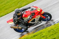 PJ-Motorsport-Photography-2018;anglesey-no-limits-trackday;anglesey-photographs;anglesey-trackday-photographs;enduro-digital-images;event-digital-images;eventdigitalimages;no-limits-trackdays;peter-wileman-photography;racing-digital-images;trac-mon;trackday-digital-images;trackday-photos;ty-croes