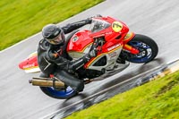 PJ-Motorsport-Photography-2018;anglesey-no-limits-trackday;anglesey-photographs;anglesey-trackday-photographs;enduro-digital-images;event-digital-images;eventdigitalimages;no-limits-trackdays;peter-wileman-photography;racing-digital-images;trac-mon;trackday-digital-images;trackday-photos;ty-croes