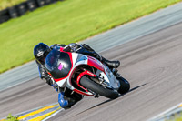 PJ-Motorsport-Photography-2018;anglesey-no-limits-trackday;anglesey-photographs;anglesey-trackday-photographs;enduro-digital-images;event-digital-images;eventdigitalimages;no-limits-trackdays;peter-wileman-photography;racing-digital-images;trac-mon;trackday-digital-images;trackday-photos;ty-croes