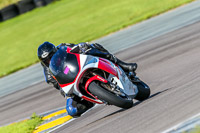 PJ-Motorsport-Photography-2018;anglesey-no-limits-trackday;anglesey-photographs;anglesey-trackday-photographs;enduro-digital-images;event-digital-images;eventdigitalimages;no-limits-trackdays;peter-wileman-photography;racing-digital-images;trac-mon;trackday-digital-images;trackday-photos;ty-croes