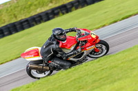PJ-Motorsport-Photography-2018;anglesey-no-limits-trackday;anglesey-photographs;anglesey-trackday-photographs;enduro-digital-images;event-digital-images;eventdigitalimages;no-limits-trackdays;peter-wileman-photography;racing-digital-images;trac-mon;trackday-digital-images;trackday-photos;ty-croes