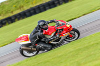 PJ-Motorsport-Photography-2018;anglesey-no-limits-trackday;anglesey-photographs;anglesey-trackday-photographs;enduro-digital-images;event-digital-images;eventdigitalimages;no-limits-trackdays;peter-wileman-photography;racing-digital-images;trac-mon;trackday-digital-images;trackday-photos;ty-croes