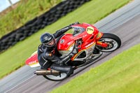 PJ-Motorsport-Photography-2018;anglesey-no-limits-trackday;anglesey-photographs;anglesey-trackday-photographs;enduro-digital-images;event-digital-images;eventdigitalimages;no-limits-trackdays;peter-wileman-photography;racing-digital-images;trac-mon;trackday-digital-images;trackday-photos;ty-croes