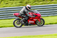 PJ-Motorsport-Photography-2018;anglesey-no-limits-trackday;anglesey-photographs;anglesey-trackday-photographs;enduro-digital-images;event-digital-images;eventdigitalimages;no-limits-trackdays;peter-wileman-photography;racing-digital-images;trac-mon;trackday-digital-images;trackday-photos;ty-croes