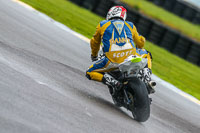 PJ-Motorsport-Photography-2018;anglesey-no-limits-trackday;anglesey-photographs;anglesey-trackday-photographs;enduro-digital-images;event-digital-images;eventdigitalimages;no-limits-trackdays;peter-wileman-photography;racing-digital-images;trac-mon;trackday-digital-images;trackday-photos;ty-croes