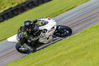 PJ-Motorsport-Photography-2018;anglesey-no-limits-trackday;anglesey-photographs;anglesey-trackday-photographs;enduro-digital-images;event-digital-images;eventdigitalimages;no-limits-trackdays;peter-wileman-photography;racing-digital-images;trac-mon;trackday-digital-images;trackday-photos;ty-croes