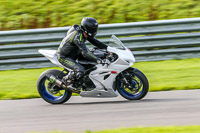 PJ-Motorsport-Photography-2018;anglesey-no-limits-trackday;anglesey-photographs;anglesey-trackday-photographs;enduro-digital-images;event-digital-images;eventdigitalimages;no-limits-trackdays;peter-wileman-photography;racing-digital-images;trac-mon;trackday-digital-images;trackday-photos;ty-croes