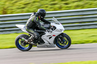 PJ-Motorsport-Photography-2018;anglesey-no-limits-trackday;anglesey-photographs;anglesey-trackday-photographs;enduro-digital-images;event-digital-images;eventdigitalimages;no-limits-trackdays;peter-wileman-photography;racing-digital-images;trac-mon;trackday-digital-images;trackday-photos;ty-croes