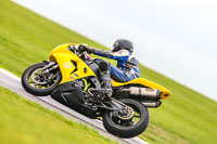 PJ-Motorsport-Photography-2018;anglesey-no-limits-trackday;anglesey-photographs;anglesey-trackday-photographs;enduro-digital-images;event-digital-images;eventdigitalimages;no-limits-trackdays;peter-wileman-photography;racing-digital-images;trac-mon;trackday-digital-images;trackday-photos;ty-croes