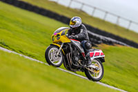 PJ-Motorsport-Photography-2018;anglesey-no-limits-trackday;anglesey-photographs;anglesey-trackday-photographs;enduro-digital-images;event-digital-images;eventdigitalimages;no-limits-trackdays;peter-wileman-photography;racing-digital-images;trac-mon;trackday-digital-images;trackday-photos;ty-croes