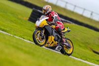 PJ-Motorsport-Photography-2018;anglesey-no-limits-trackday;anglesey-photographs;anglesey-trackday-photographs;enduro-digital-images;event-digital-images;eventdigitalimages;no-limits-trackdays;peter-wileman-photography;racing-digital-images;trac-mon;trackday-digital-images;trackday-photos;ty-croes