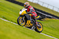 PJ-Motorsport-Photography-2018;anglesey-no-limits-trackday;anglesey-photographs;anglesey-trackday-photographs;enduro-digital-images;event-digital-images;eventdigitalimages;no-limits-trackdays;peter-wileman-photography;racing-digital-images;trac-mon;trackday-digital-images;trackday-photos;ty-croes