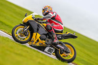 PJ-Motorsport-Photography-2018;anglesey-no-limits-trackday;anglesey-photographs;anglesey-trackday-photographs;enduro-digital-images;event-digital-images;eventdigitalimages;no-limits-trackdays;peter-wileman-photography;racing-digital-images;trac-mon;trackday-digital-images;trackday-photos;ty-croes